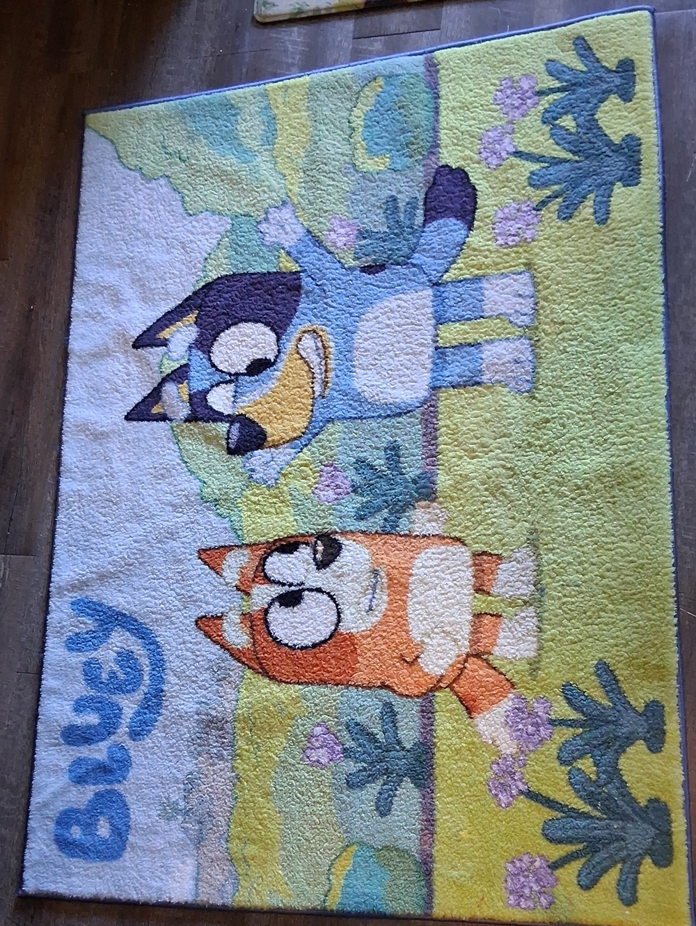 Bluey Character Door Mat - Blue & Orange Kids Welcome Mat